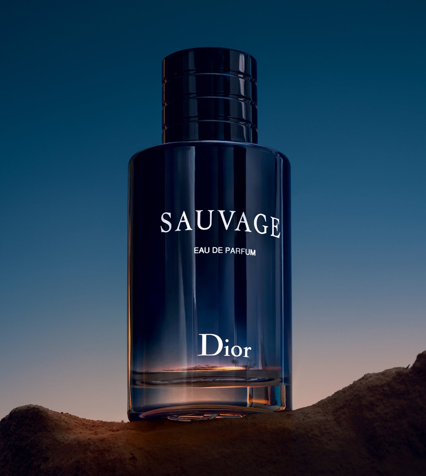 Dior Sauvage Edp 100 Ml Para Hombre